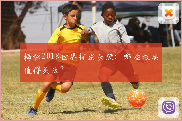 揭秘2018世界杯龙头股:哪些板块值得关注?