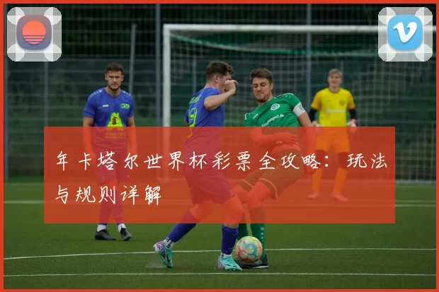 年卡塔尔世界杯彩票全攻略：玩法与规则详解