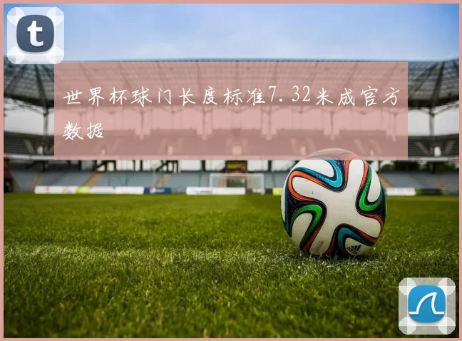 世界杯球门长度标准7.32米成官方数据