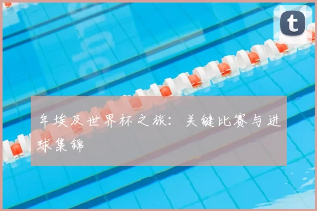 年埃及世界杯之旅：关键比赛与进球集锦