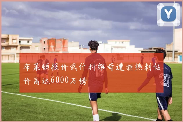 布莱顿报价武什科维奇遭拒热刺估价高达6000万镑