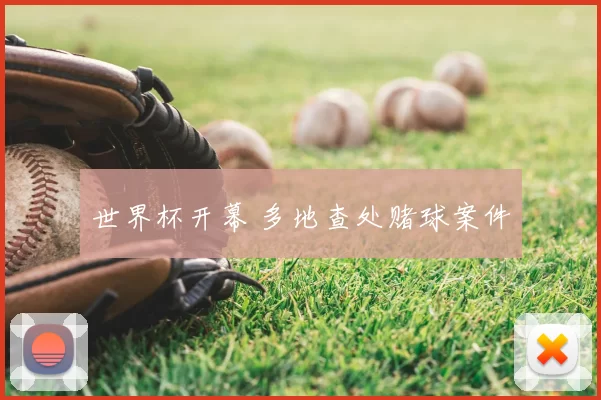 世界杯开幕 多地查处赌球案件