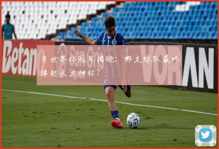 年世界杯冠军揭晓：哪支球队最终捧起大力神杯？