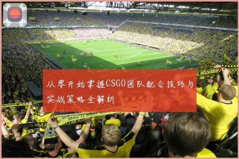 从零开始掌握CSGO团队配合技巧与实战策略全解析