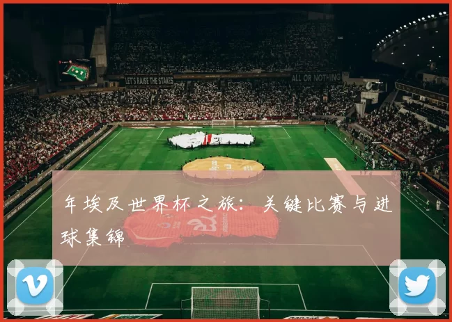 年埃及世界杯之旅:关键比赛与进球集锦