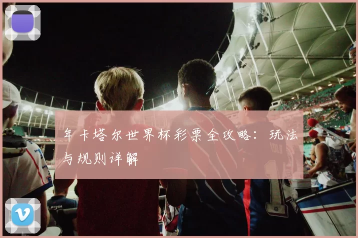 年卡塔尔世界杯彩票全攻略：玩法与规则详解
