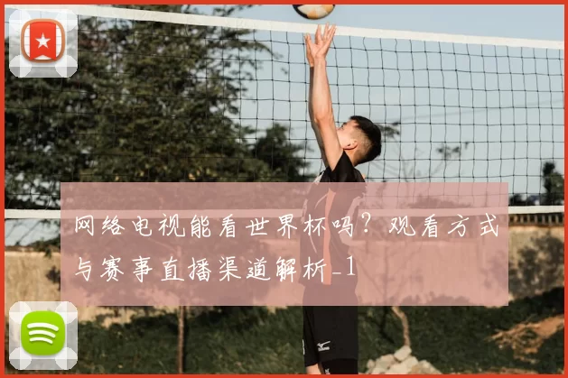 网络电视能看世界杯吗？观看方式与赛事直播渠道解析_1