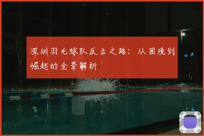 深圳羽毛球队反击之路:从困境到崛起的全景解析