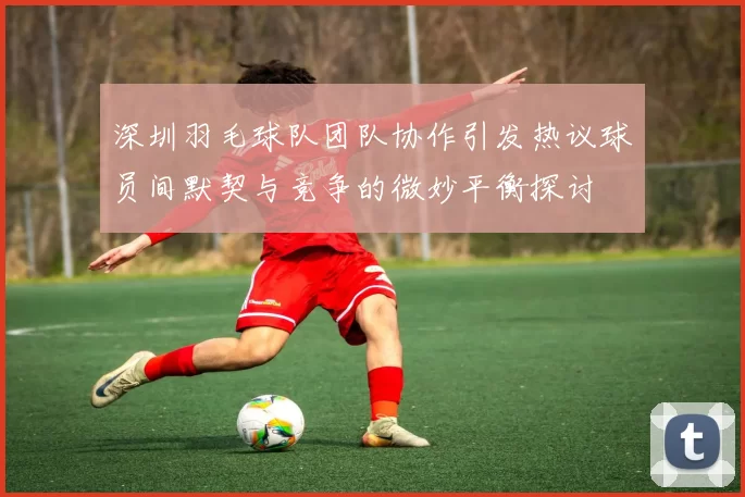 深圳羽毛球队团队协作引发热议球员间默契与竞争的微妙平衡探讨