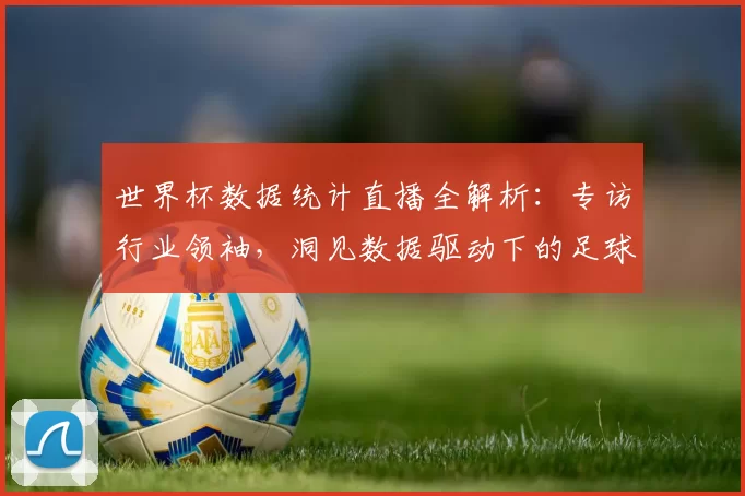 世界杯数据统计直播全解析:专访行业领袖,洞见数据驱动下的足球未来
