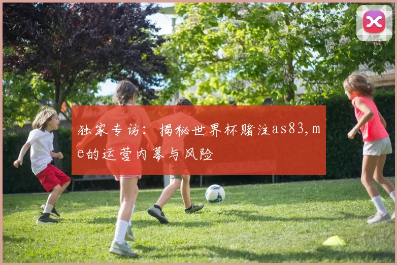 独家专访：揭秘世界杯赌注as83,me的运营内幕与风险