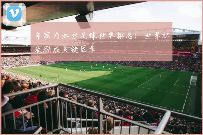 年塞内加尔足球世界排名：世界杯表现成关键因素