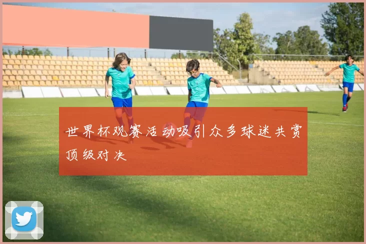 世界杯观赛活动吸引众多球迷共赏顶级对决