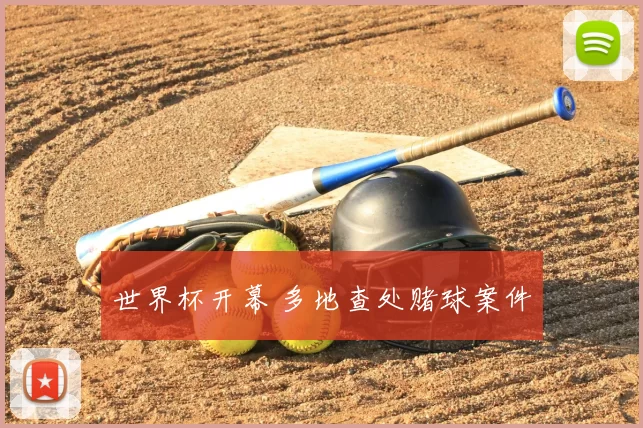 世界杯开幕 多地查处赌球案件