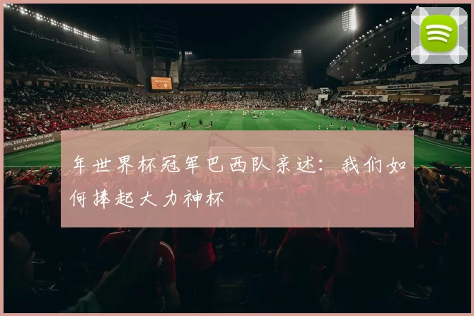 年世界杯冠军巴西队亲述：我们如何捧起大力神杯