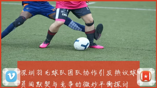 深圳羽毛球队团队协作引发热议球员间默契与竞争的微妙平衡探讨