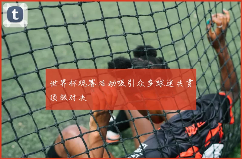 世界杯观赛活动吸引众多球迷共赏顶级对决