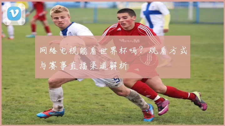 网络电视能看世界杯吗？观看方式与赛事直播渠道解析