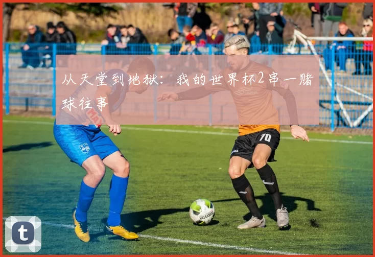 从天堂到地狱:我的世界杯2串一赌球往事